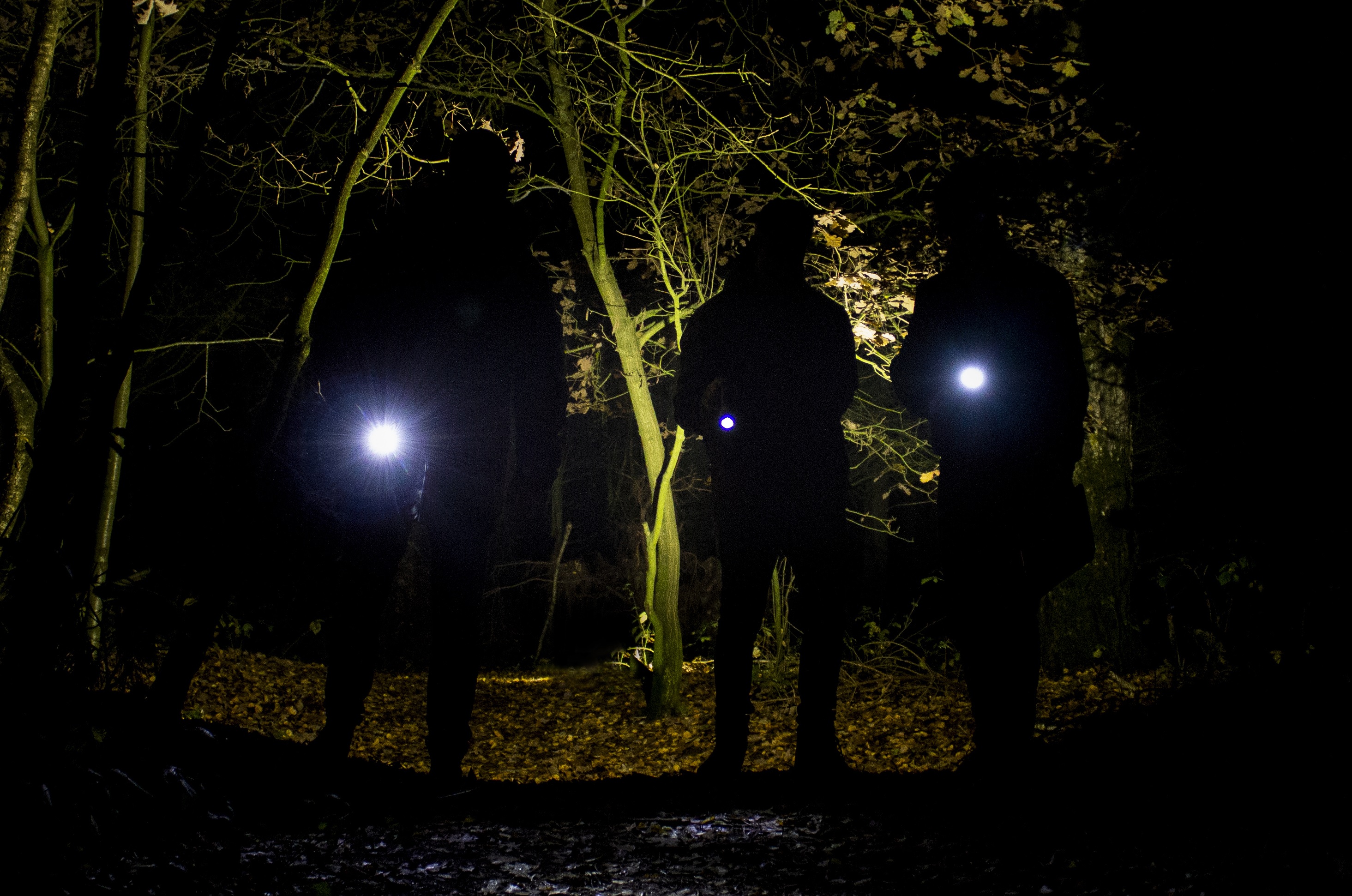 avond dropping veluwe