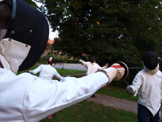 schermclinic-veluwe-2