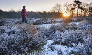 wandelroute Dal van de Mosbeek